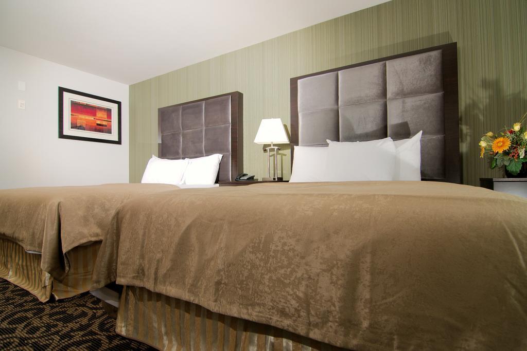 Paradise Inn And Suites Redwater ห้อง รูปภาพ