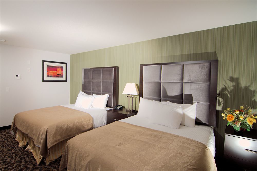 Paradise Inn And Suites Redwater ภายนอก รูปภาพ